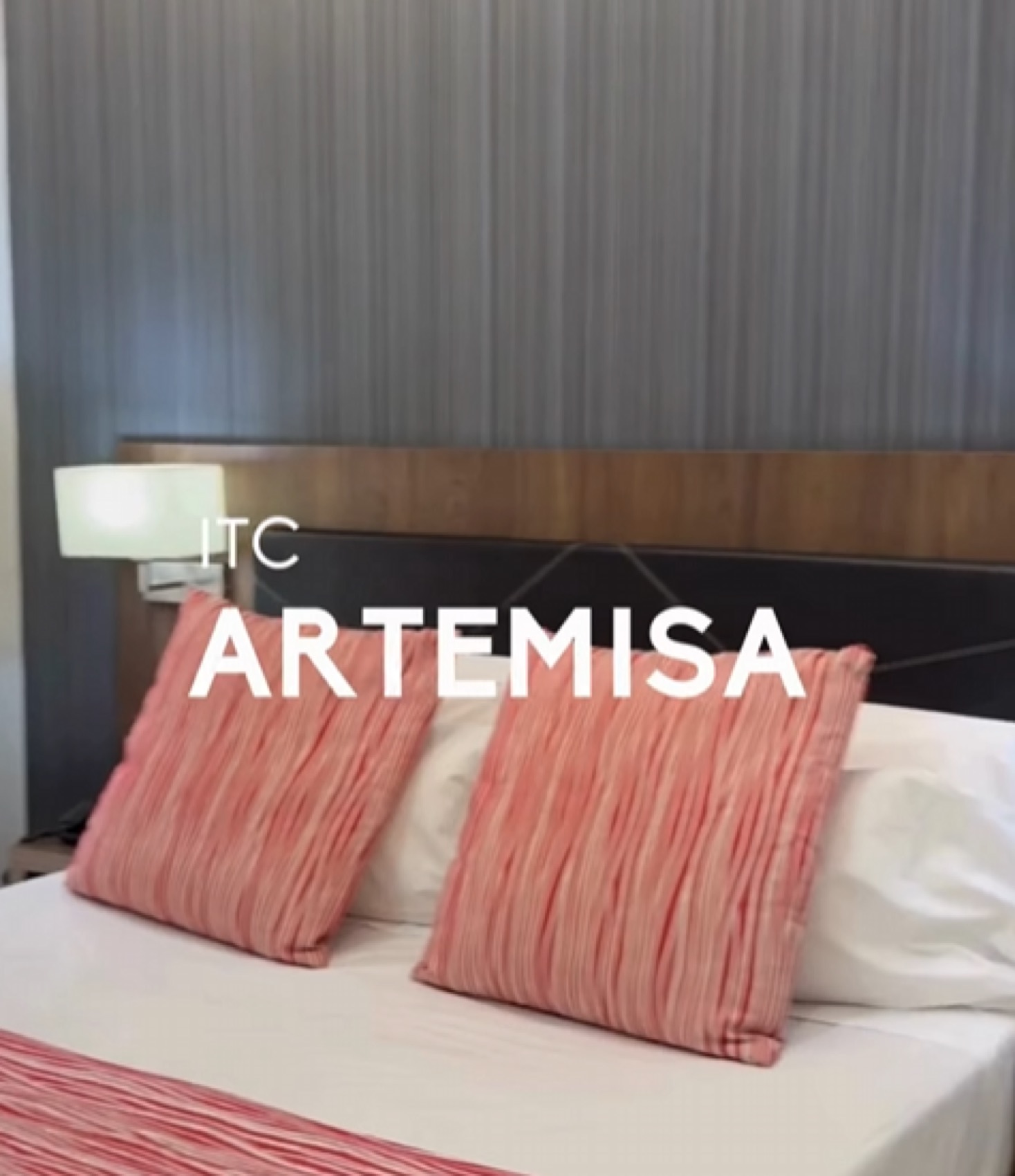 Habitación Itaca Artemisa